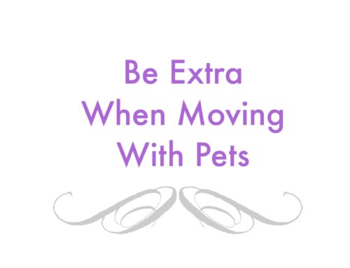 Pets Move Too
