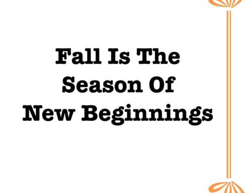 Hello Fall and Fresh Starts at Home!